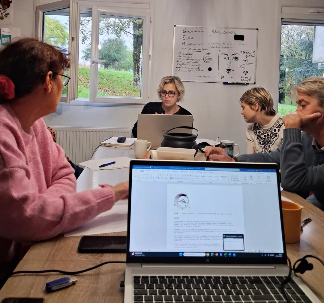 Réunion au Gem pour le projet cœur et cortex